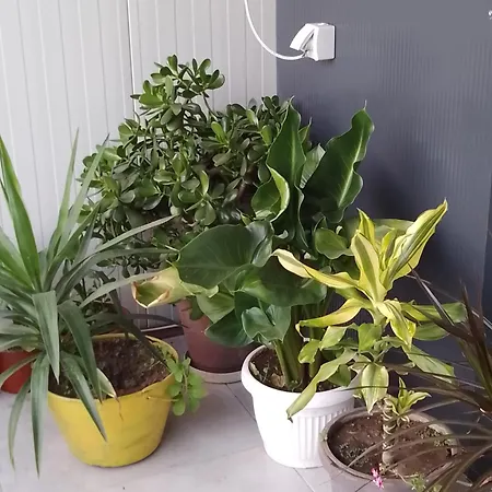 Apartman Krcma U Planini